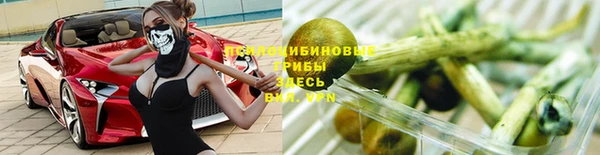 альфа пвп Белокуриха