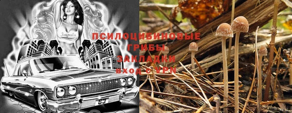 mdpv Беломорск