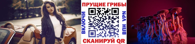 Галлюциногенные грибы Psilocybe Кудрово